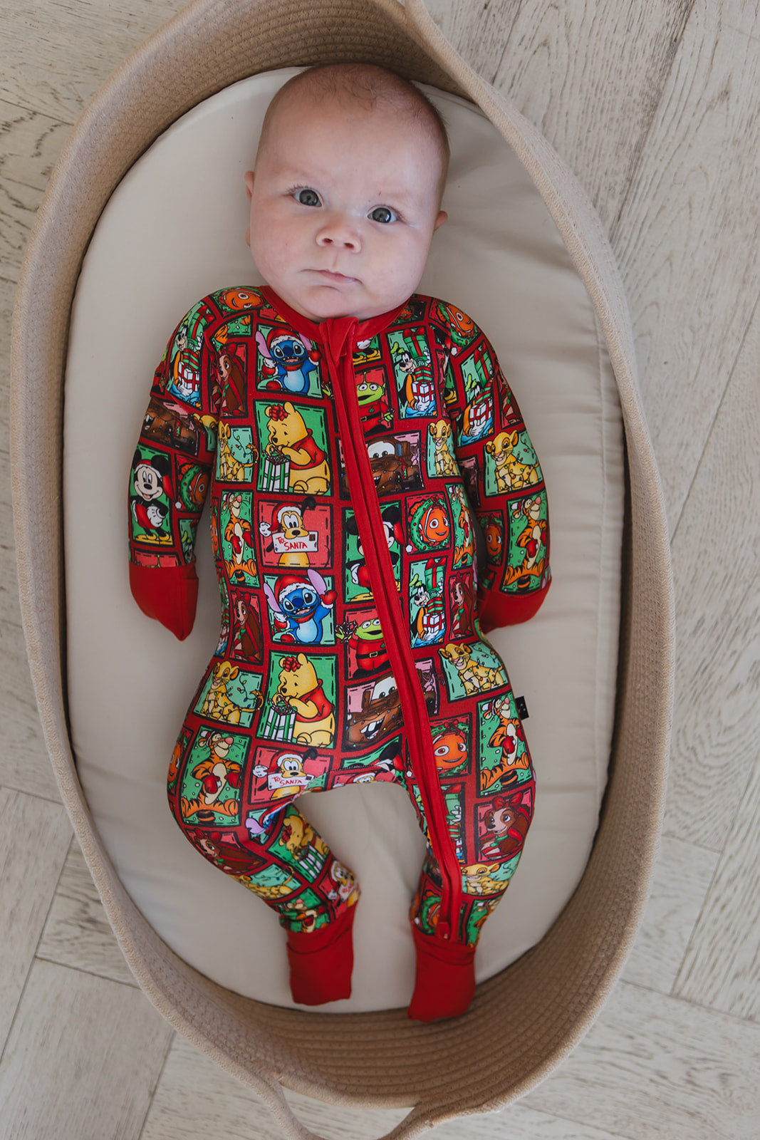 Countdown to Christmas - Zippy