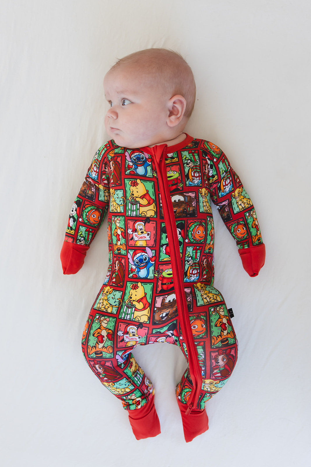 Countdown to Christmas - Zippy