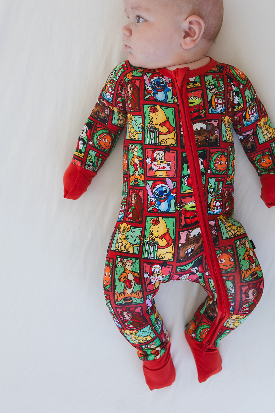 Countdown to Christmas - Zippy