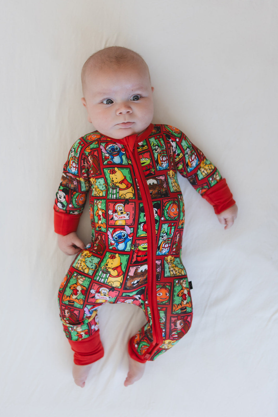 Countdown to Christmas - Zippy