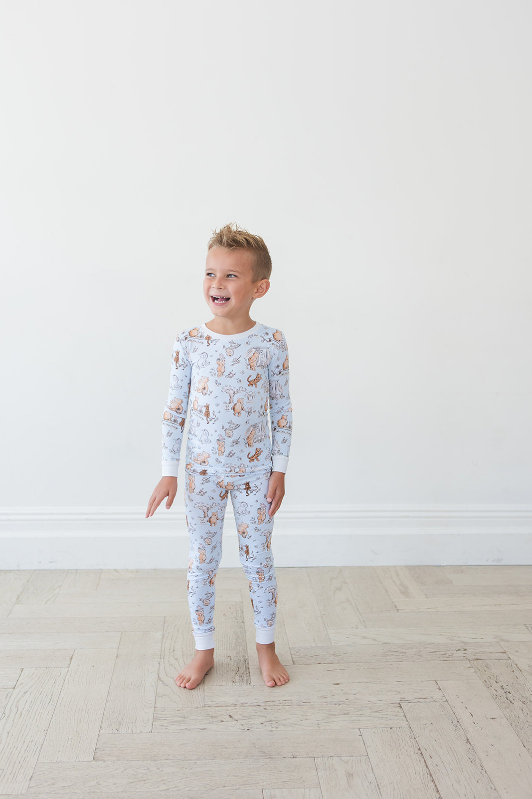 Silly Old Bear - Set