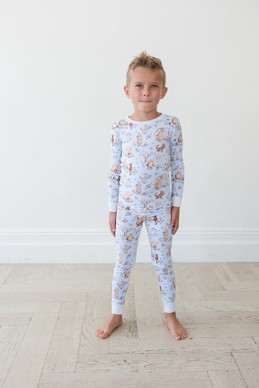 Silly Old Bear - Set