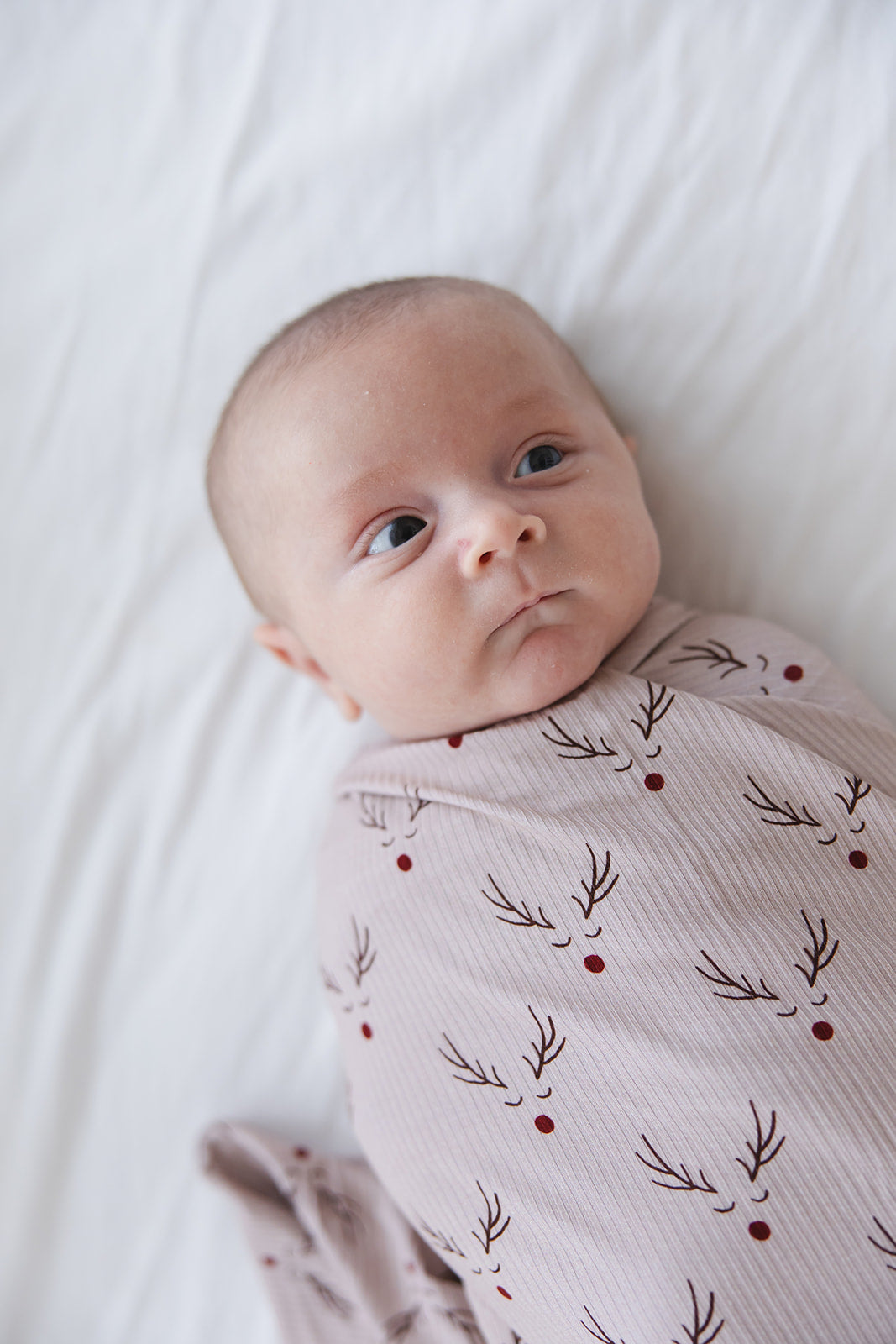 Reindeer Ridge (ribbed) - Lightweight Blanket