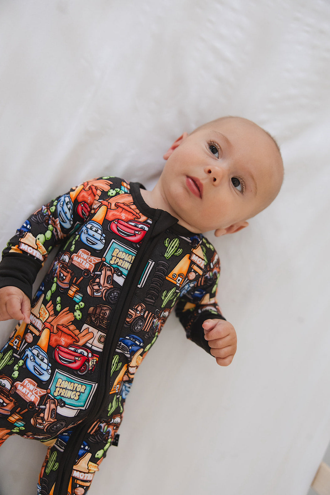 Cozy Cone Adventures - Zippy