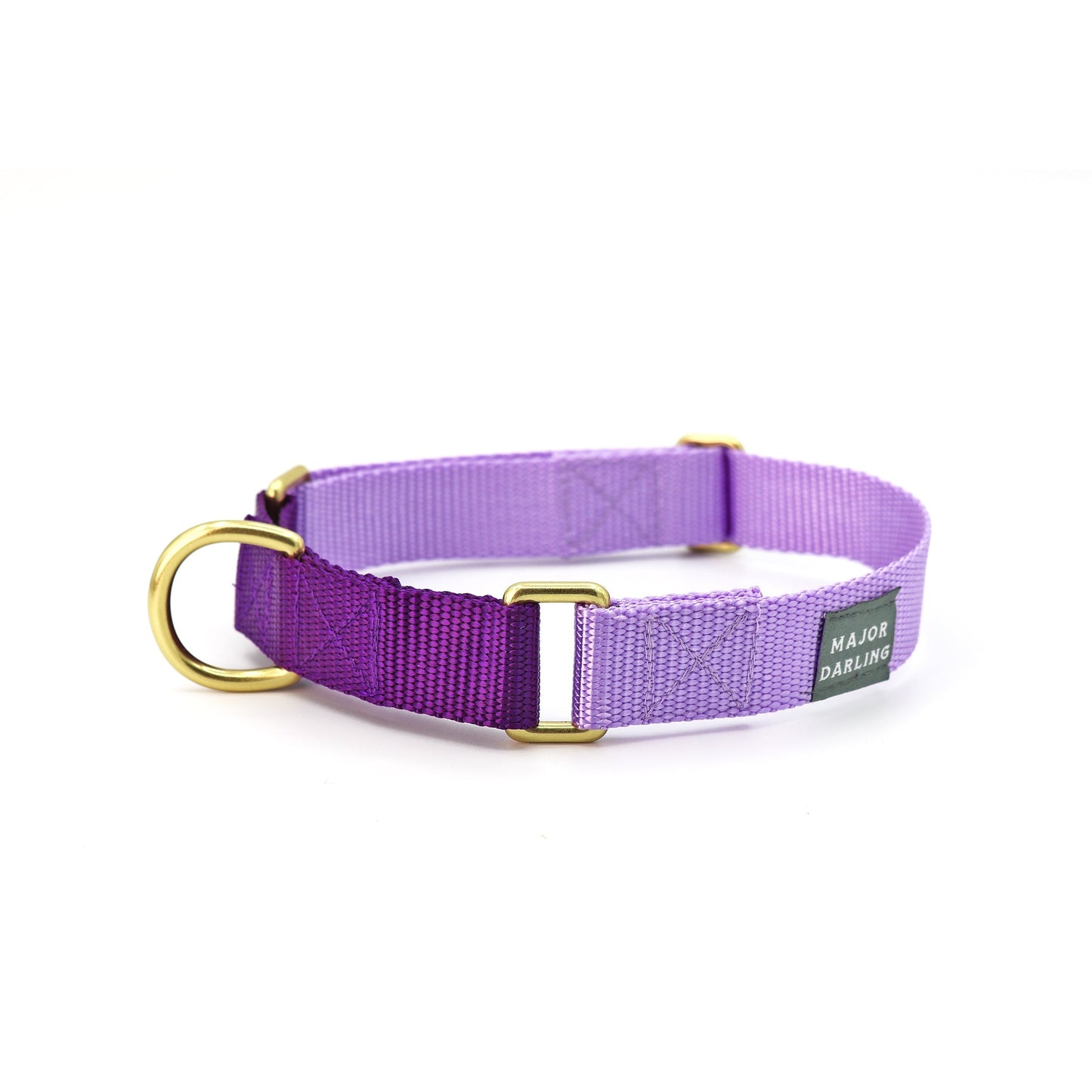 Martingale Dog Collar