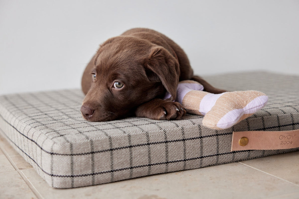 Ashi Dog Toy Small - Lavender/Amber