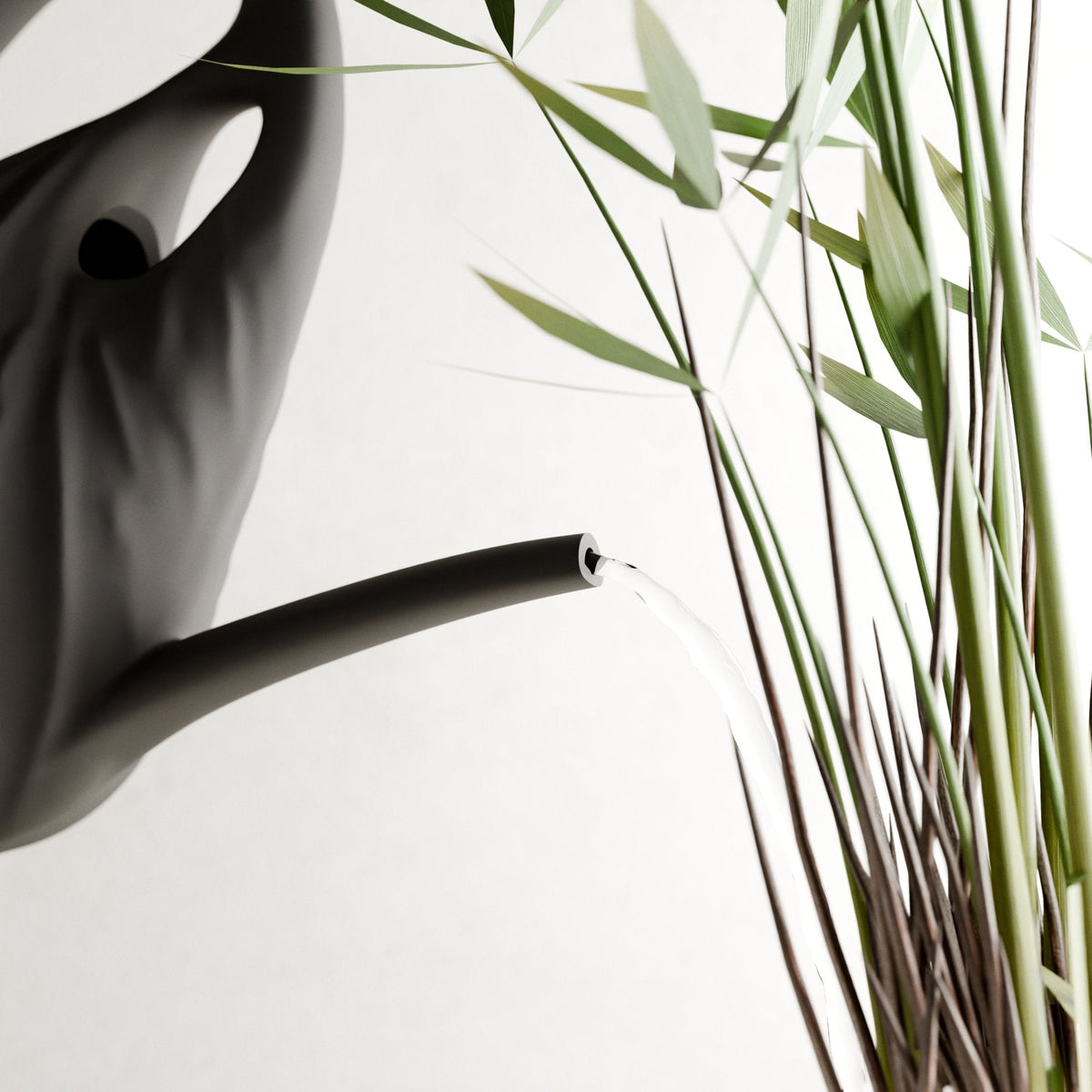 Swirl Watering Can