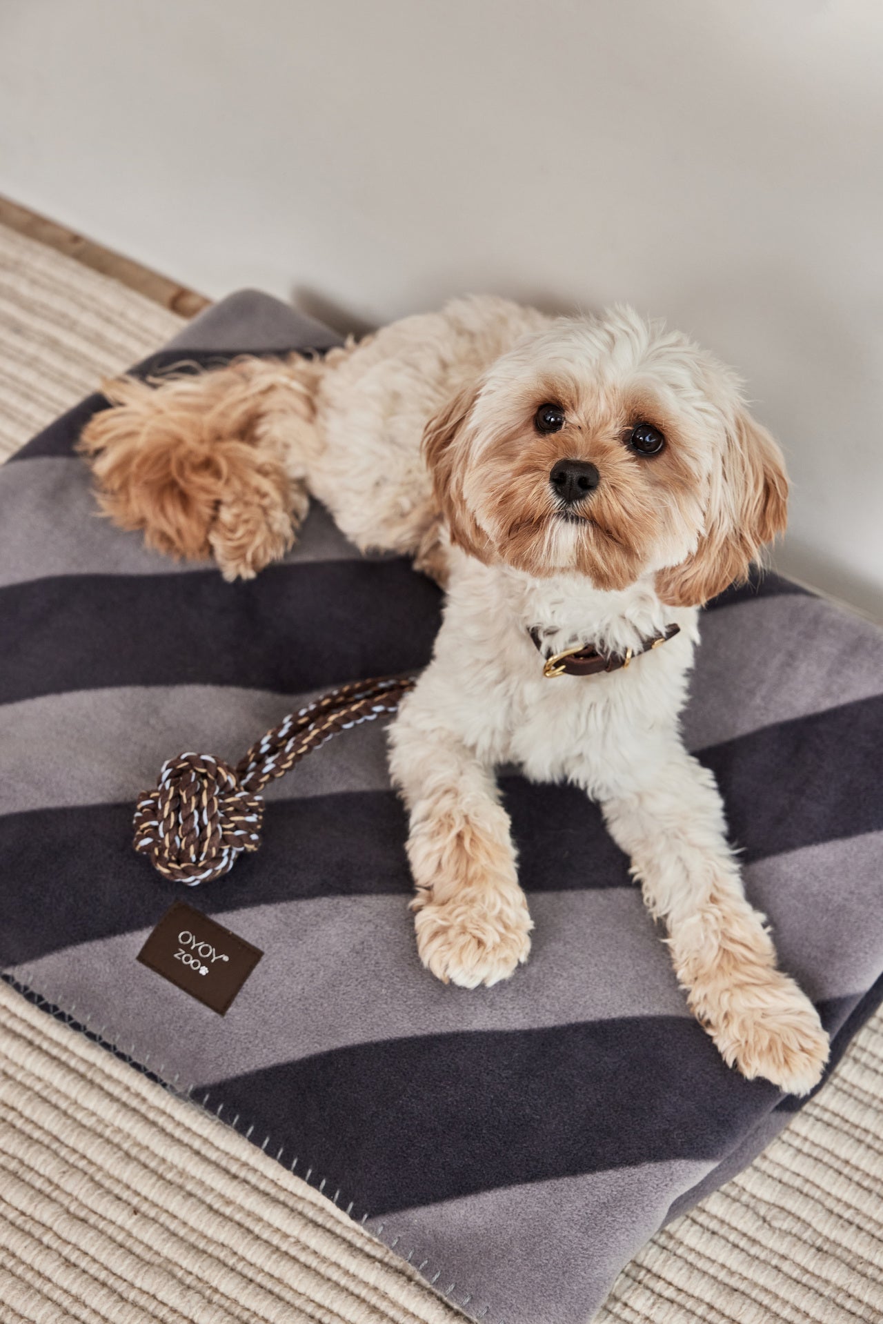 Kaya Dog Blanket Black - Large