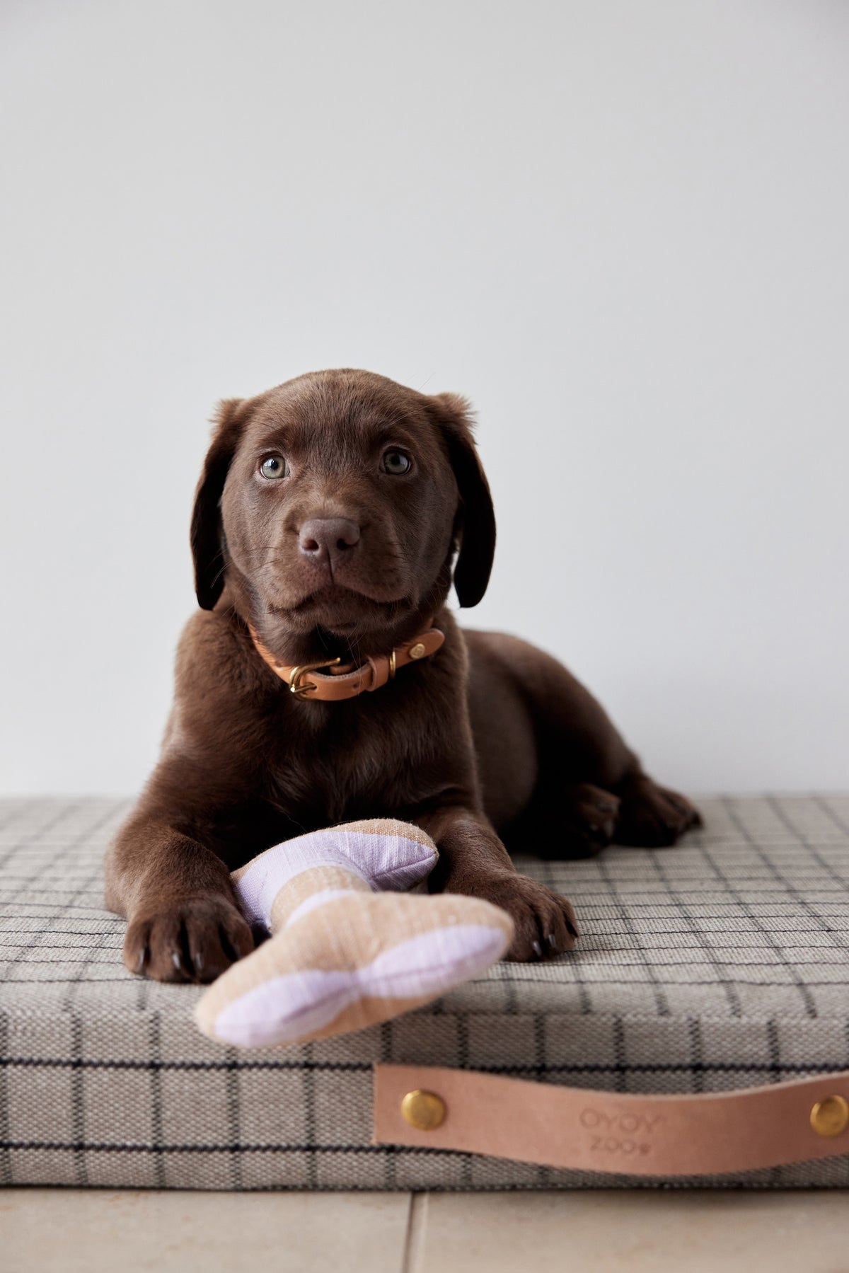 Ashi Dog Toy Small - Lavender/Amber