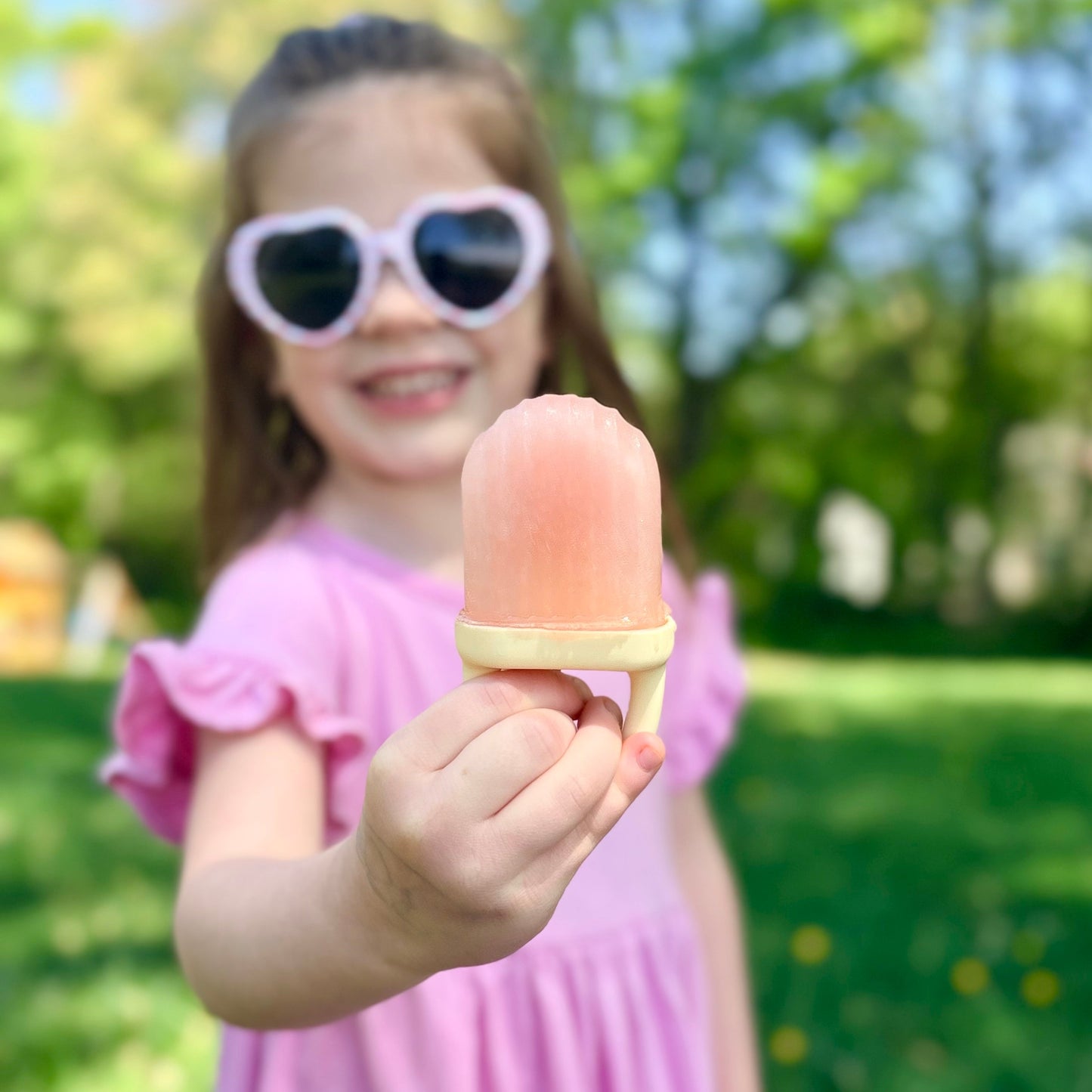 Sunny Pops Popsicle Molds
