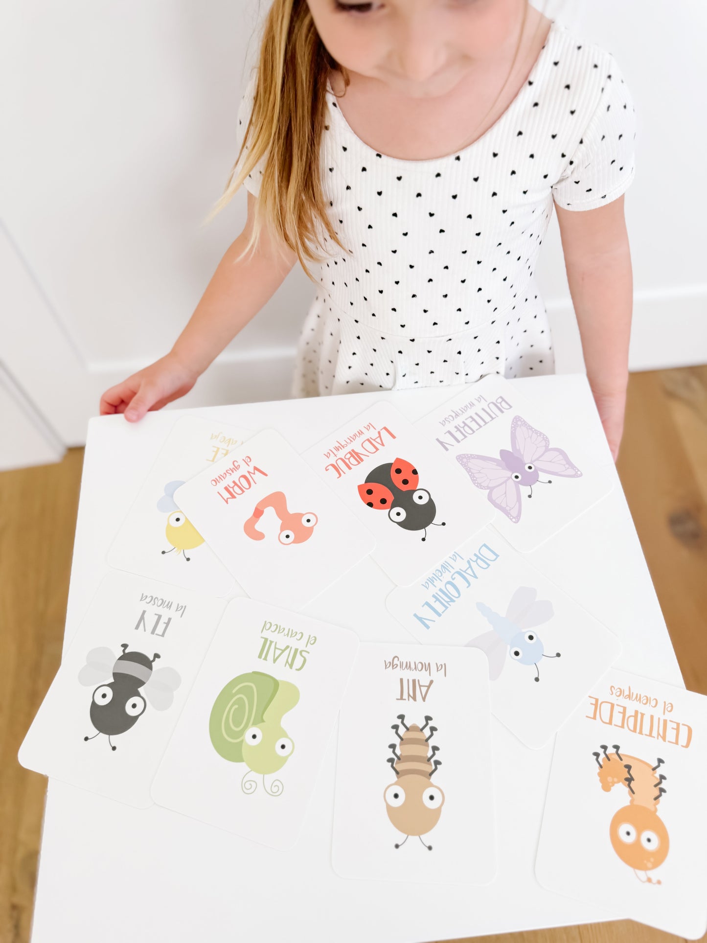 Bugs Flashcards