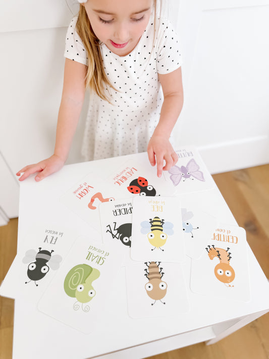 Bugs Flashcards