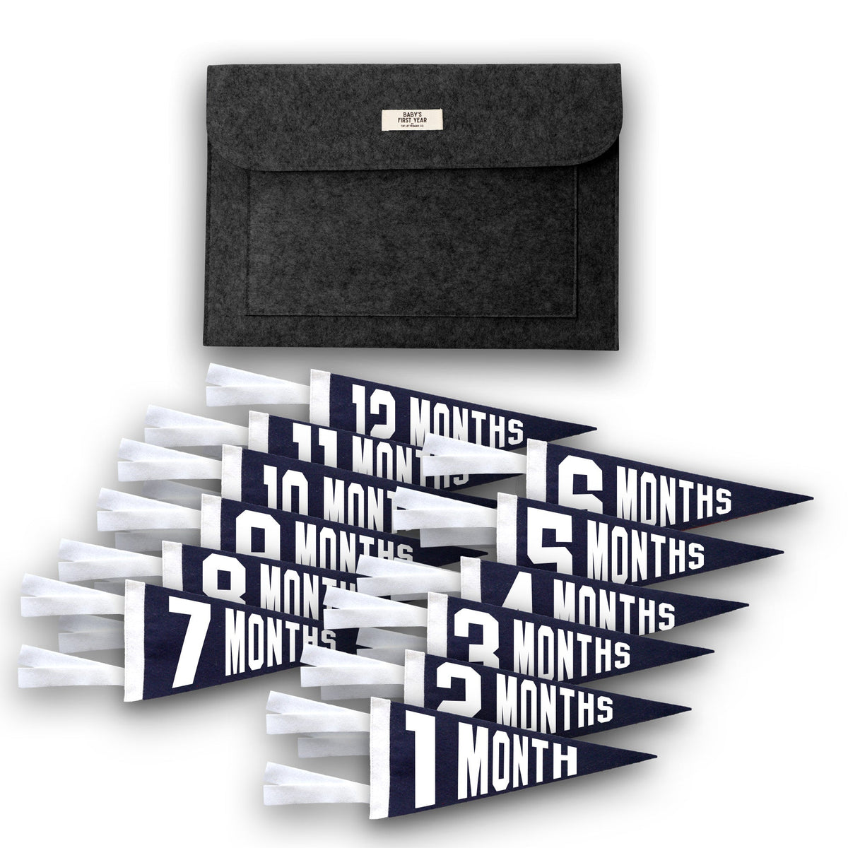 Baby Milestone Pennant Gift Set