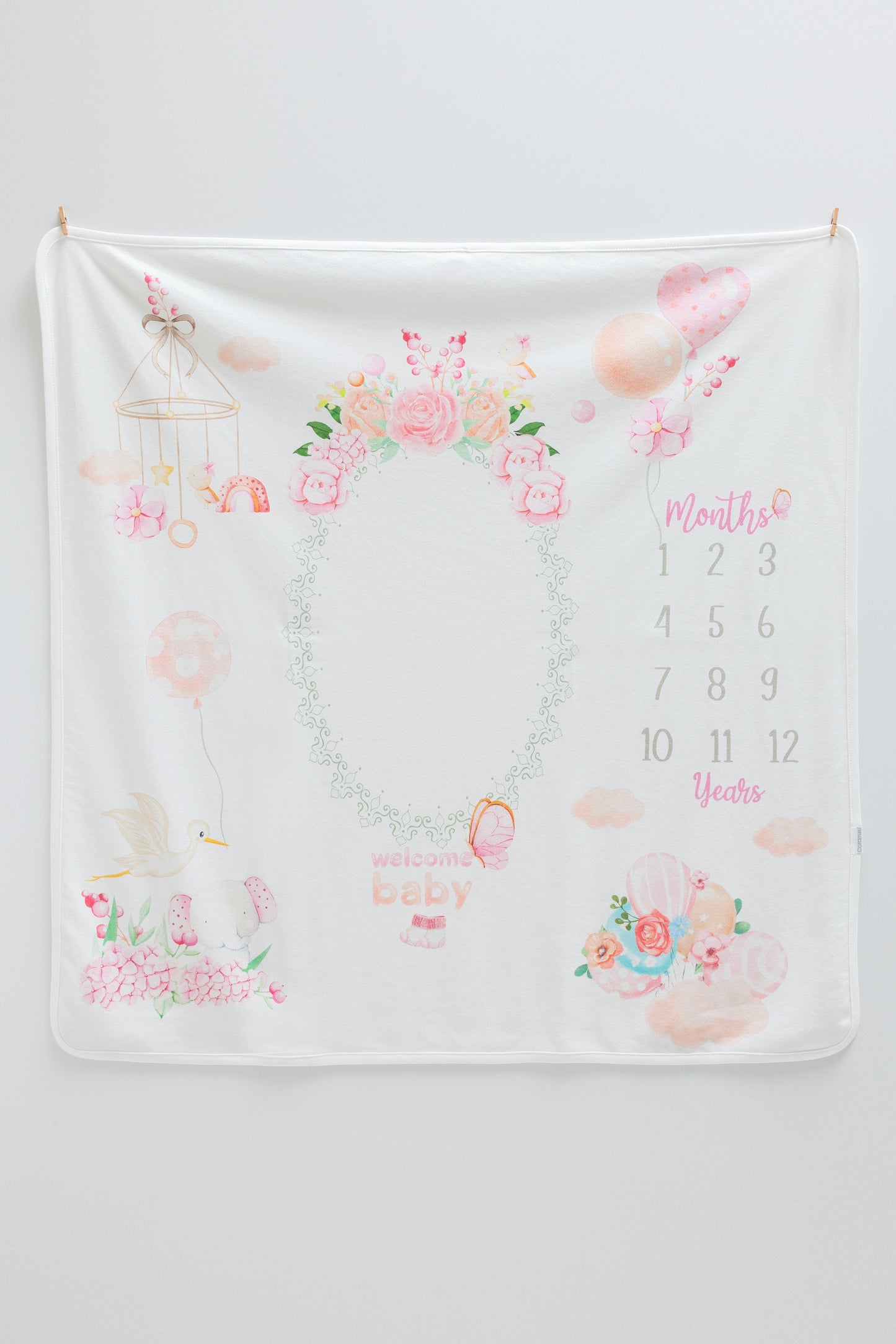 Blush Milestone Blanket