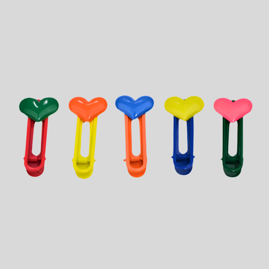 Hair Clips (Set of 5)