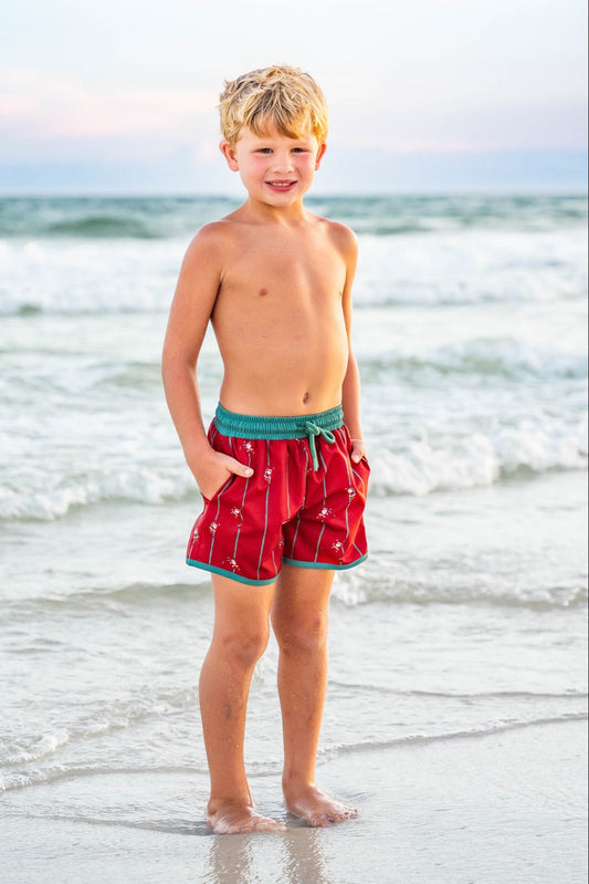 *PREORDER* Santa's Sleigh Stripes Swim Shorts