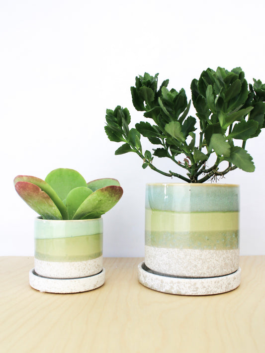 Cement Green Ceramic Plant Pot and Saucer