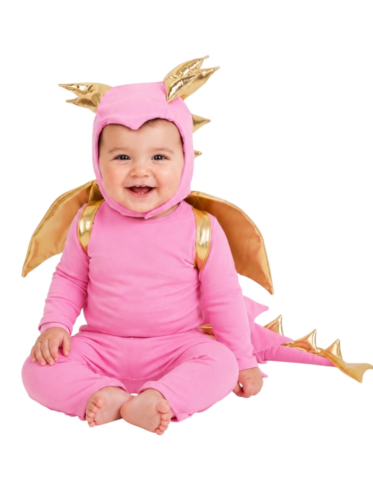 Baby Pink Dragon Costume