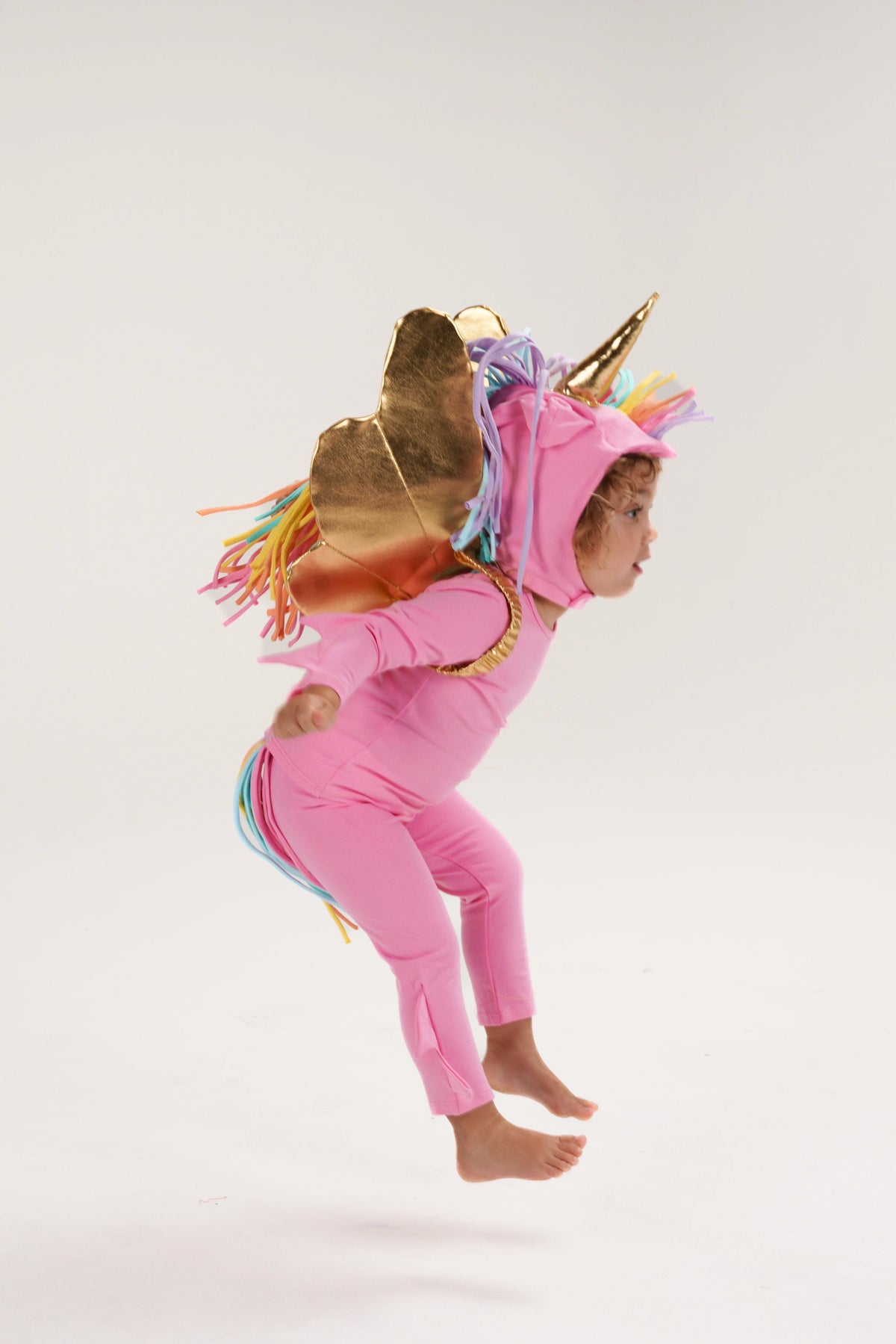 Pink Pegasus Halloween Costume