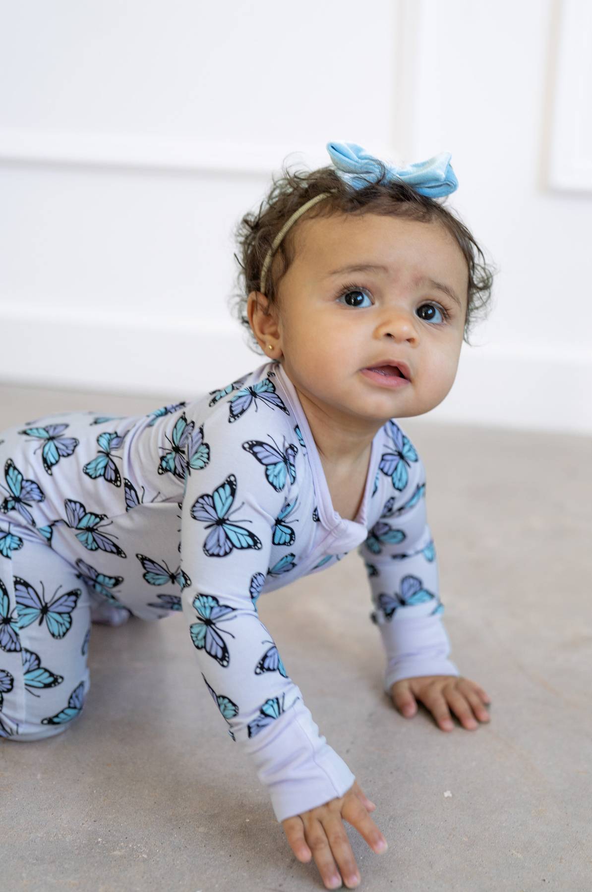 Purple Butterflies Zippy