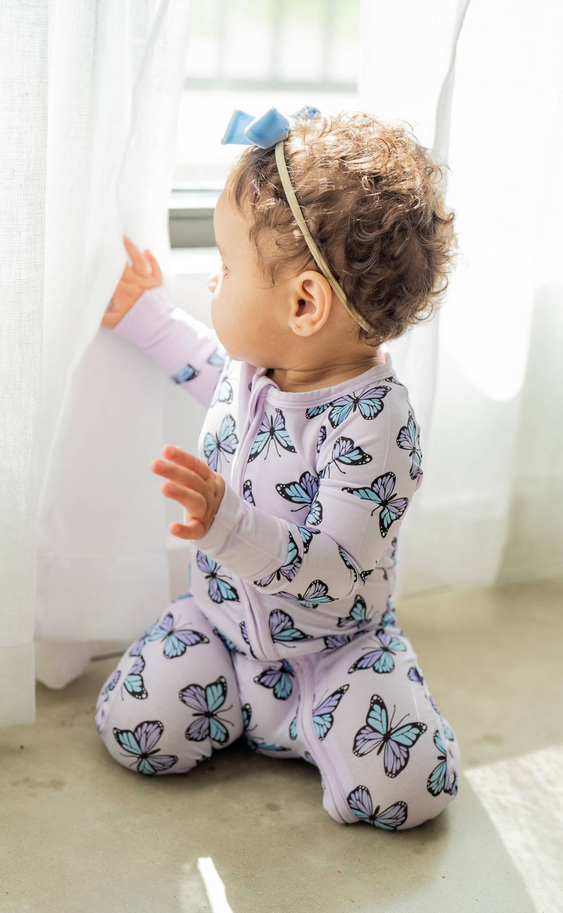 Purple Butterflies Zippy