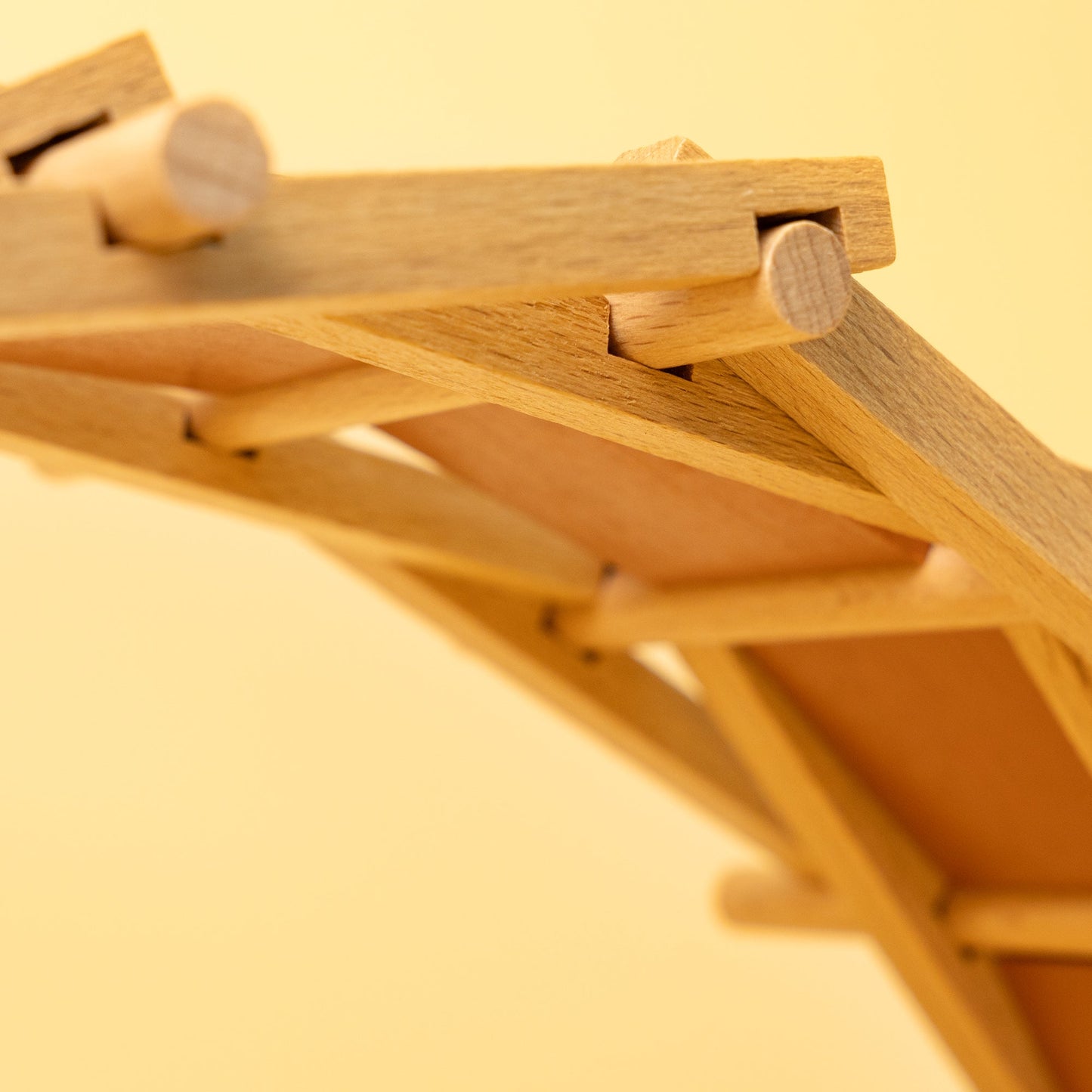 DIY Leonardo da Vinci Self-Supporting Bridge Kit