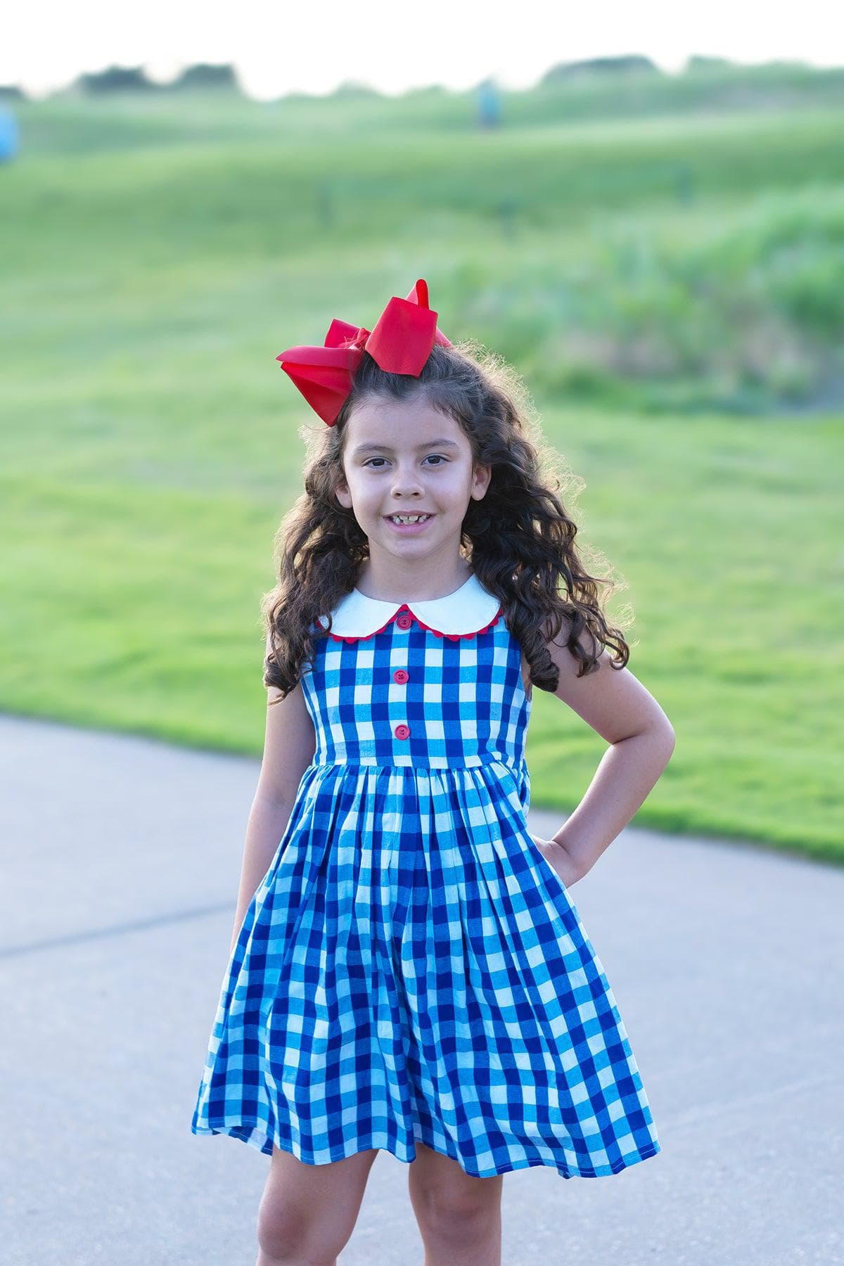 Vintage Alabama Blue Gingham Dress