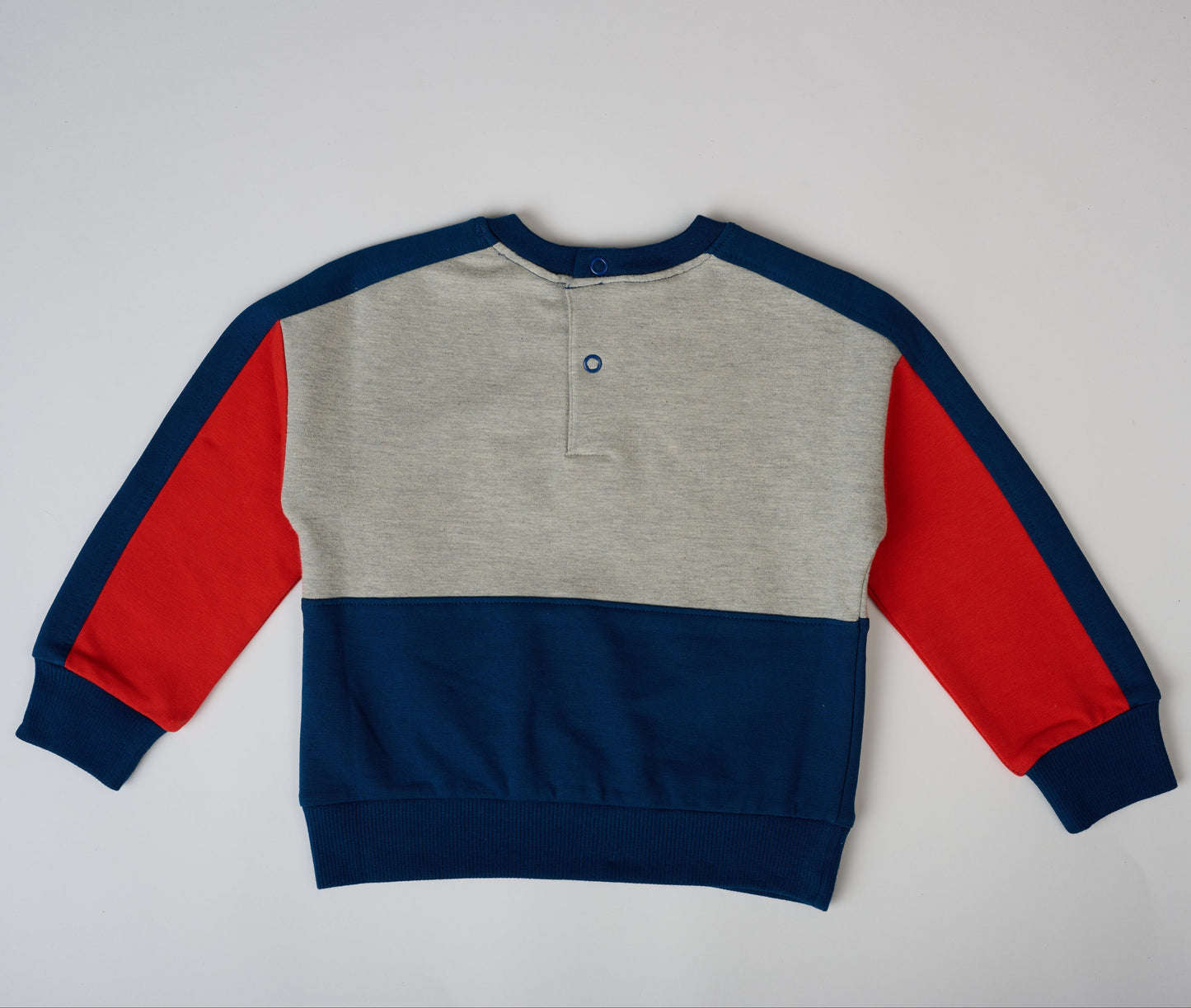 Sporty Color block Sweatshirt