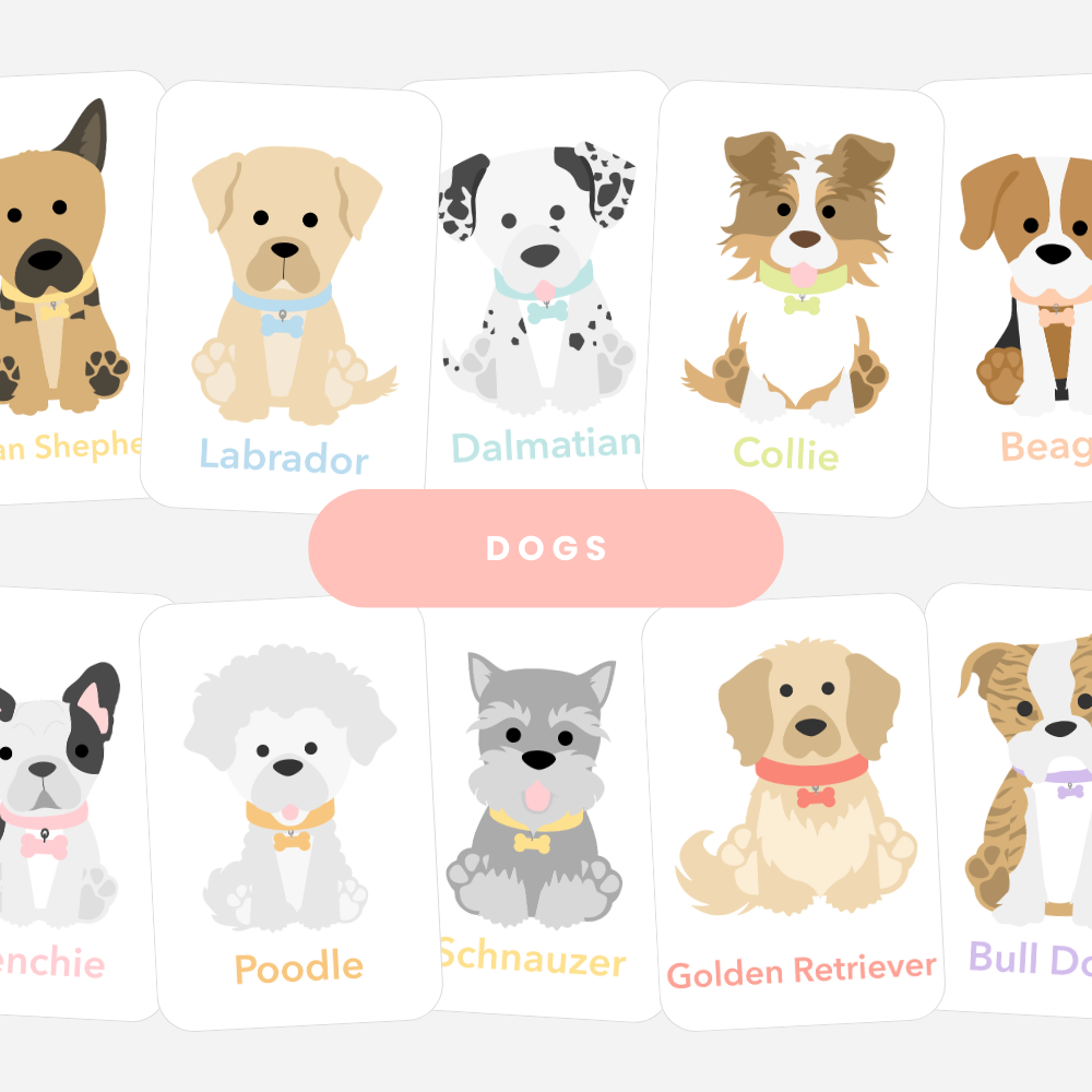 Dog Breed Flash Cards