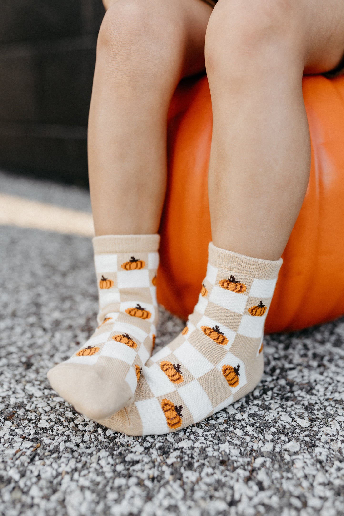 Checkin' Out Fall