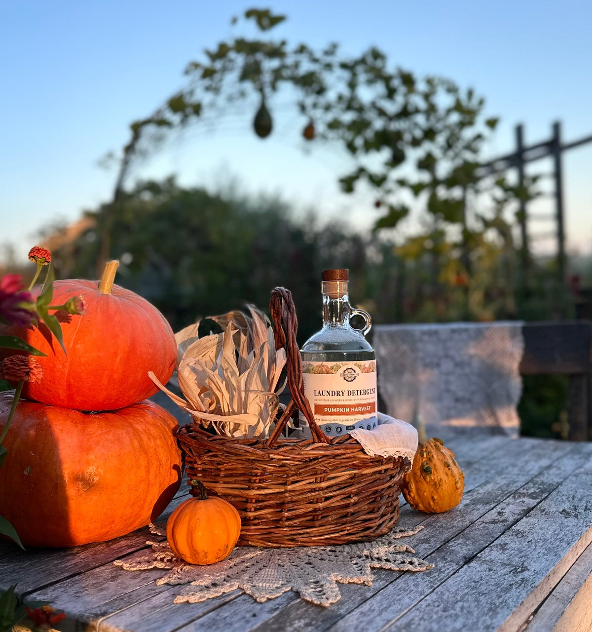 Pumpkin Harvest Phthalate-Free Fragrance Oil