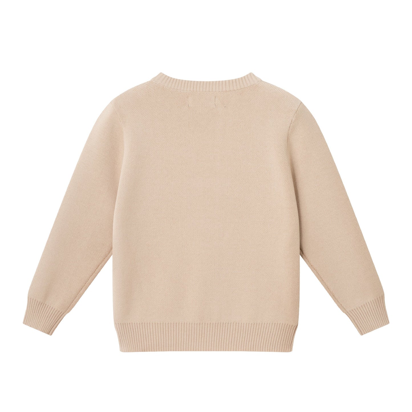 Kids Graphic Sweater | Triple Dino