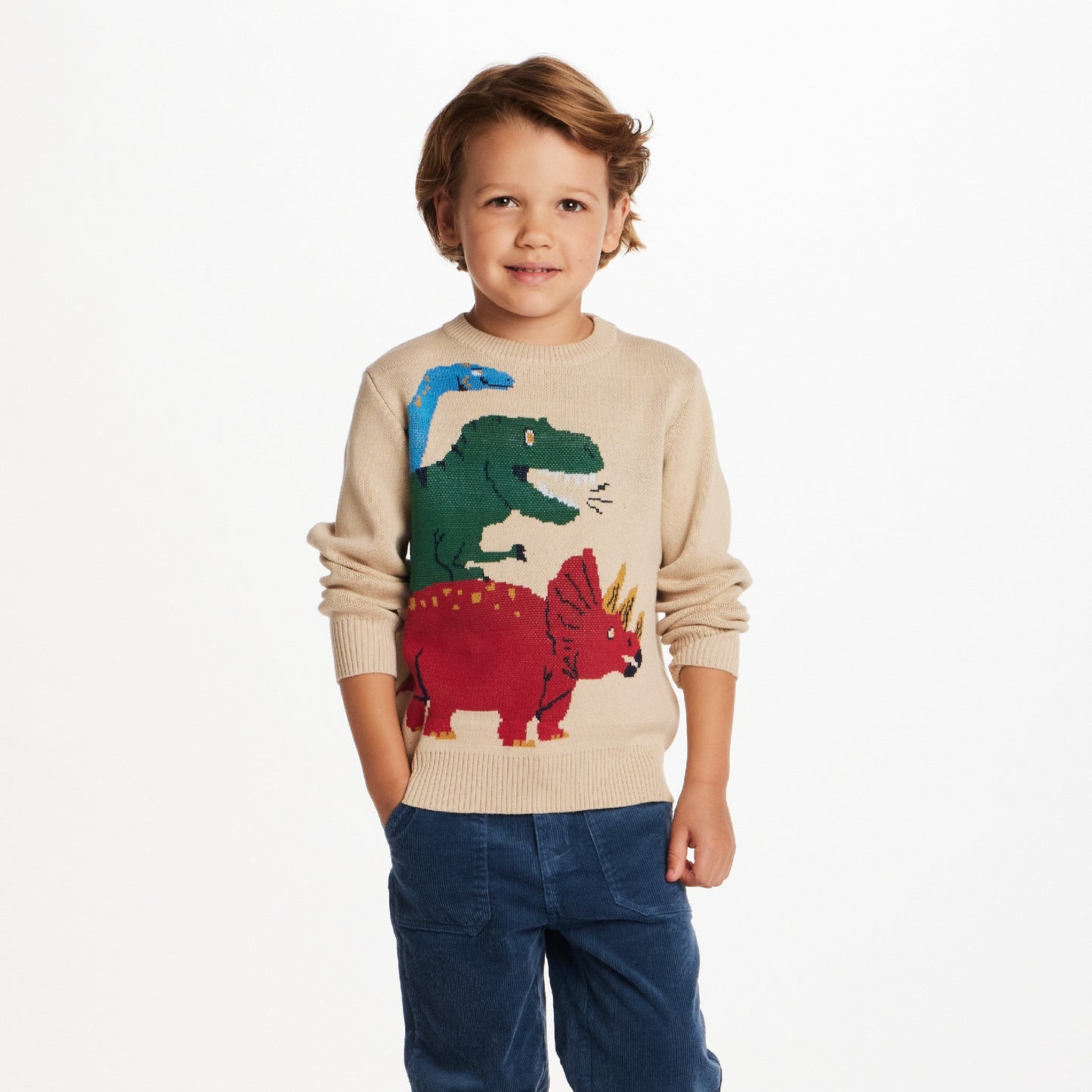 Kids Graphic Sweater | Triple Dino
