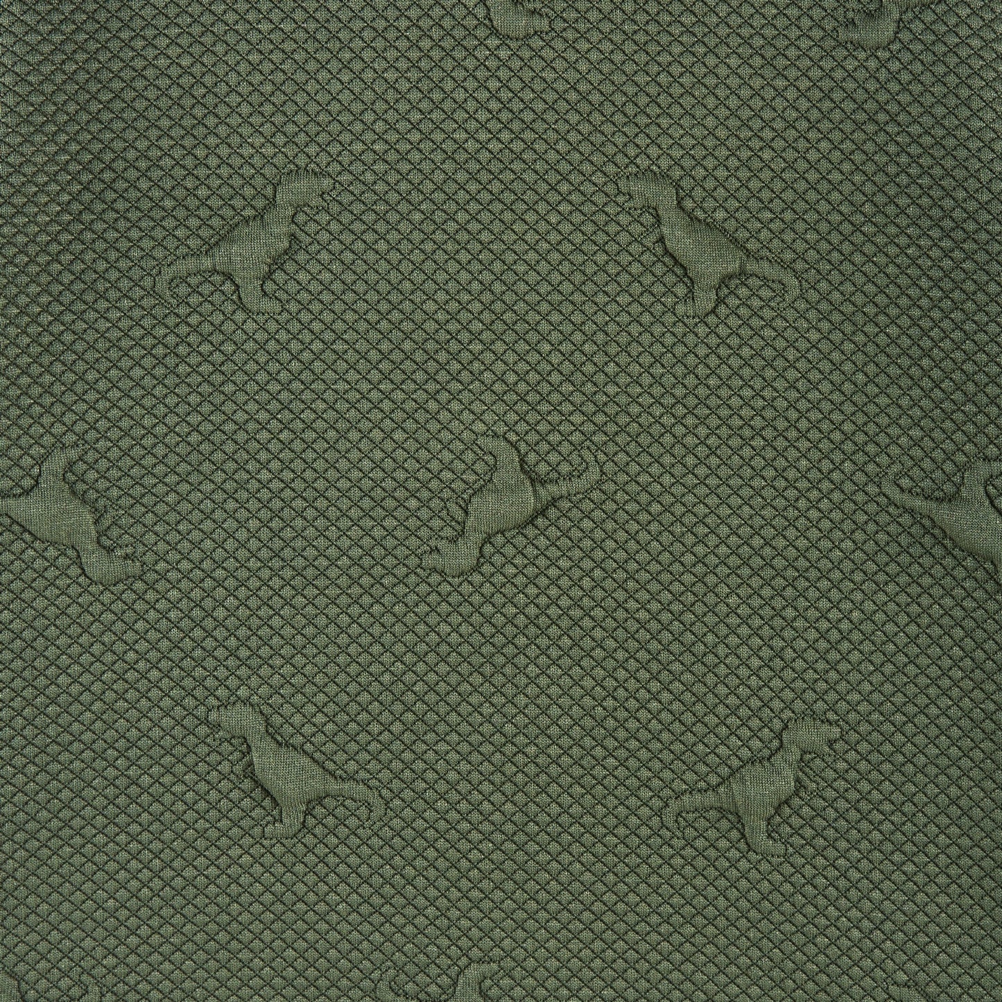 Kids Embossed Lounge Set | Green Dino