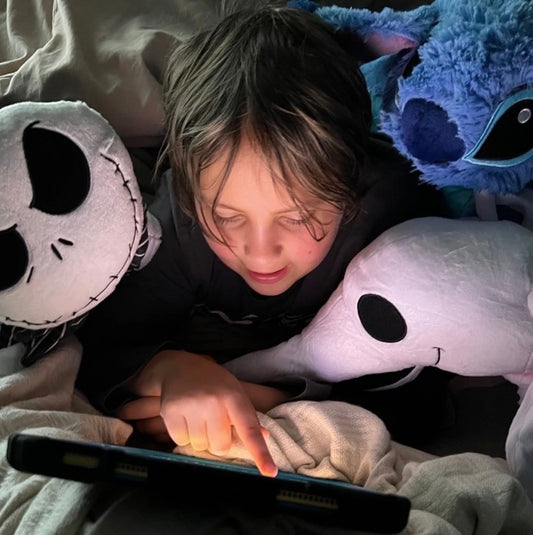 Zero Pillow Pet plush - nightmare before Christmas