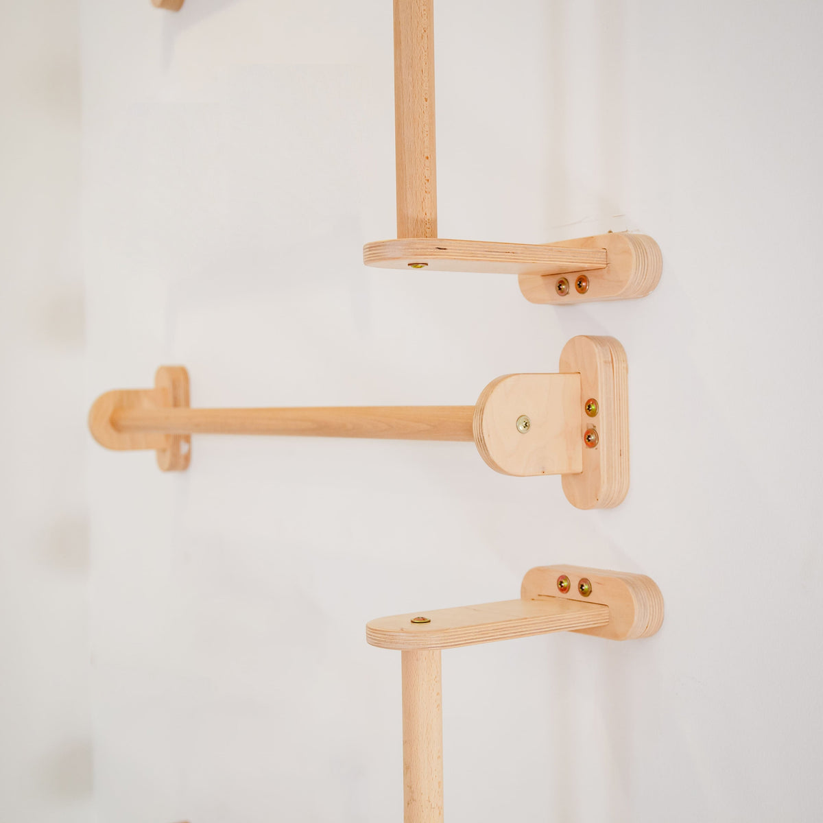 Home Monkey Bars