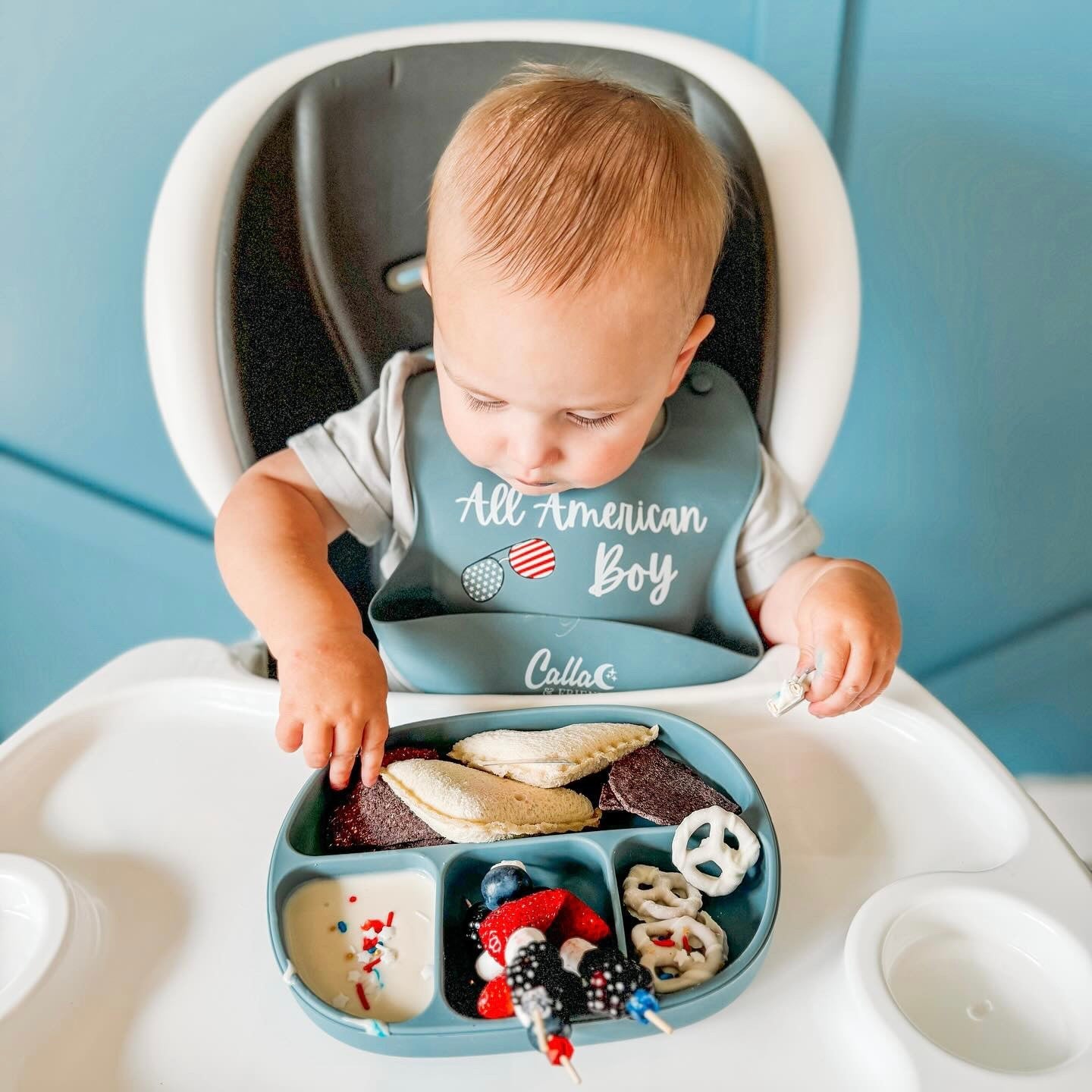 All American Catch All Bib