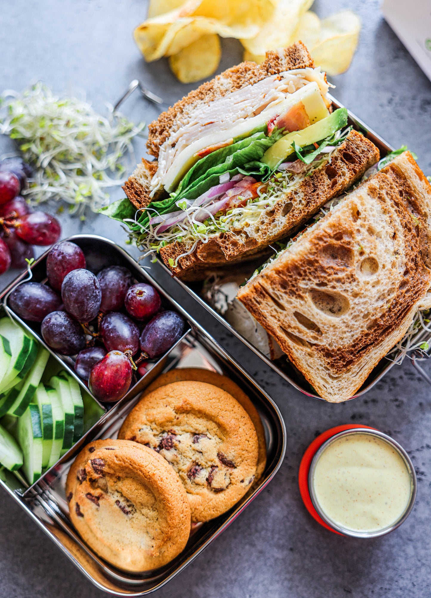 Ecozoi Stainless Steel Bento Lunch Box for Kids and Adults, 3 Compartment, Solid Print, 2 Tier Leak Proof, 60 oz