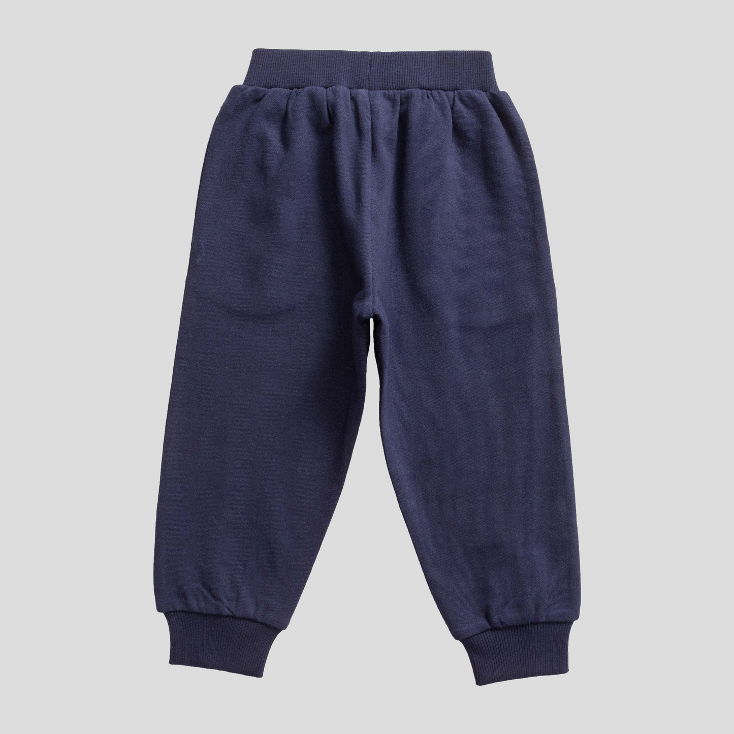 Solid Comfy Toddler Jogger 2 Pack - Navy & Turquoise