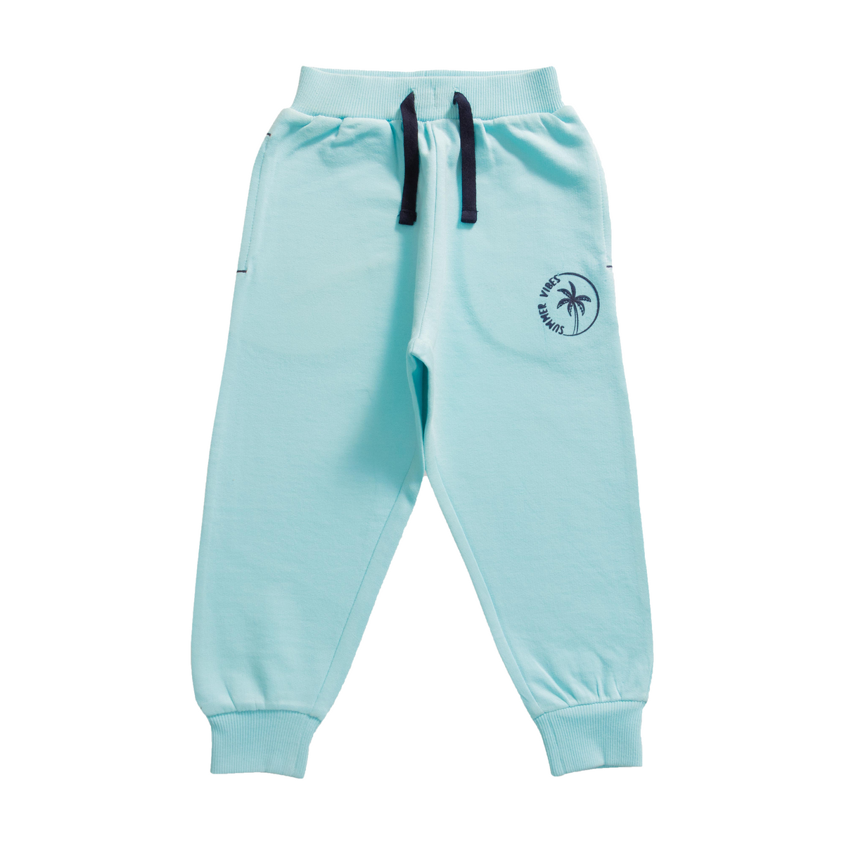Solid Comfy Toddler Jogger 2 Pack - Navy & Turquoise