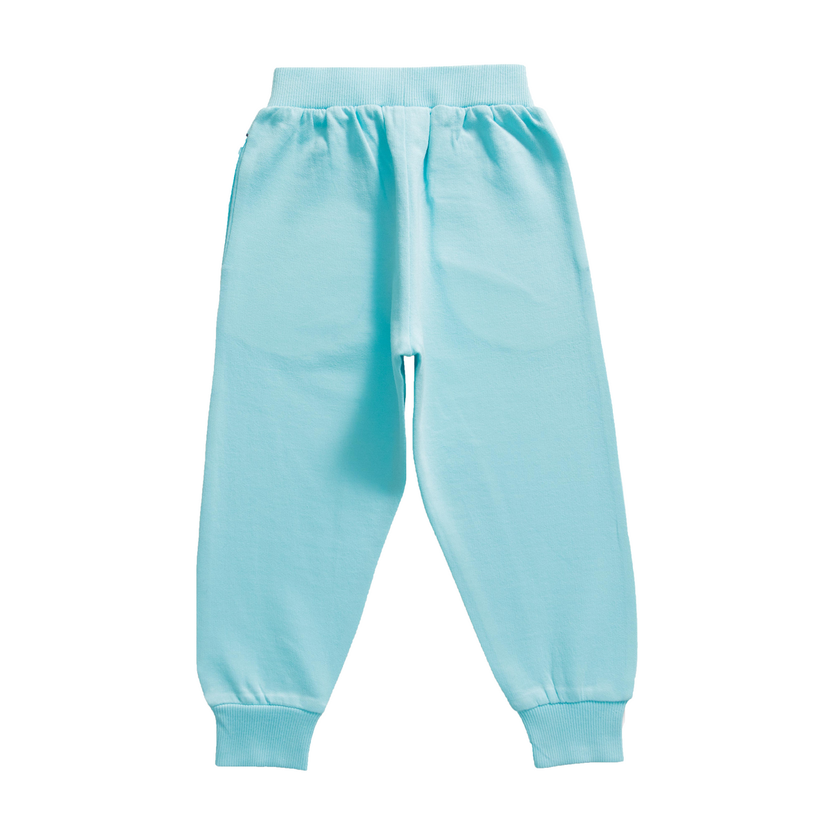 Solid Comfy Toddler Jogger 2 Pack - Navy & Turquoise