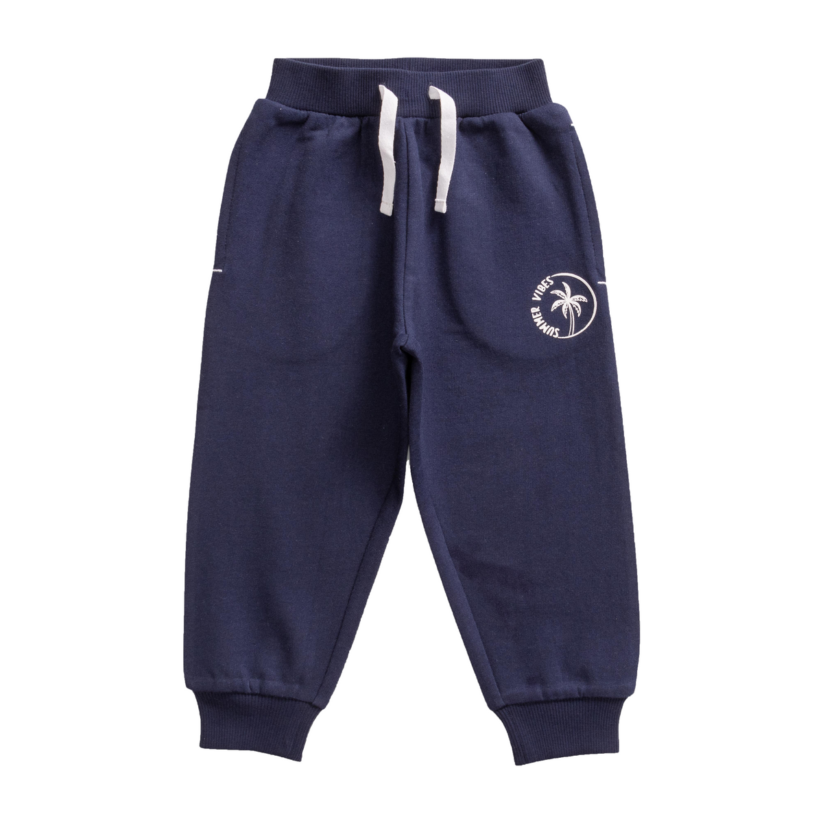 Solid Comfy Toddler Jogger 2 Pack - Navy & Turquoise