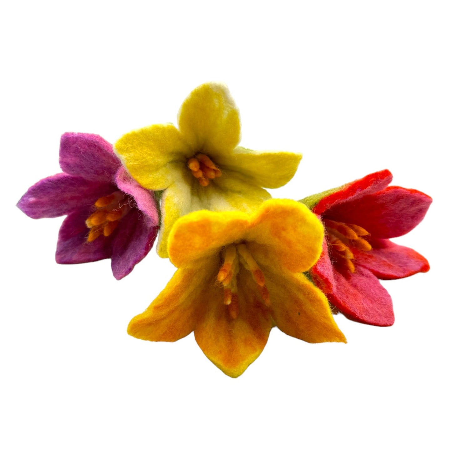 **Pre-order (Ships in 2-3 Weeks)**Handmade in Nepal 100% Wool Felt Foods Play Set for Pretend Cooking and Farmer's Market Play