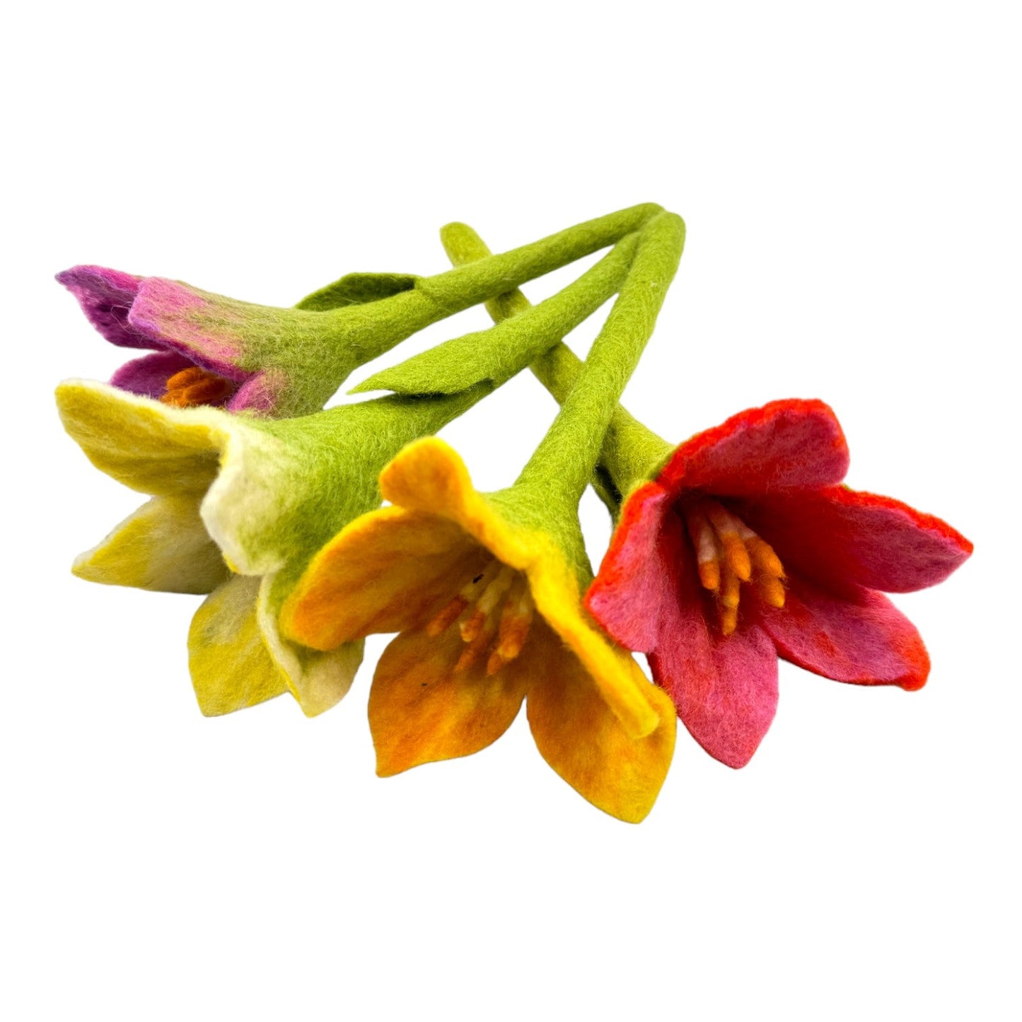 **Pre-order (Ships in 2-3 Weeks)**Handmade in Nepal 100% Wool Felt Foods Play Set for Pretend Cooking and Farmer's Market Play