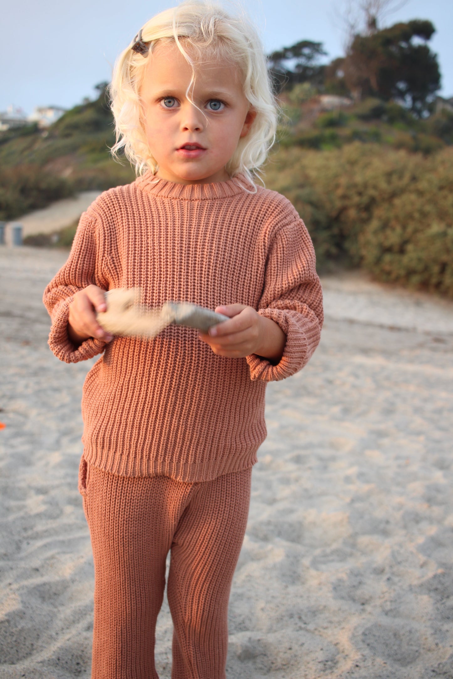 Cotton Knit Jogger - Terracotta