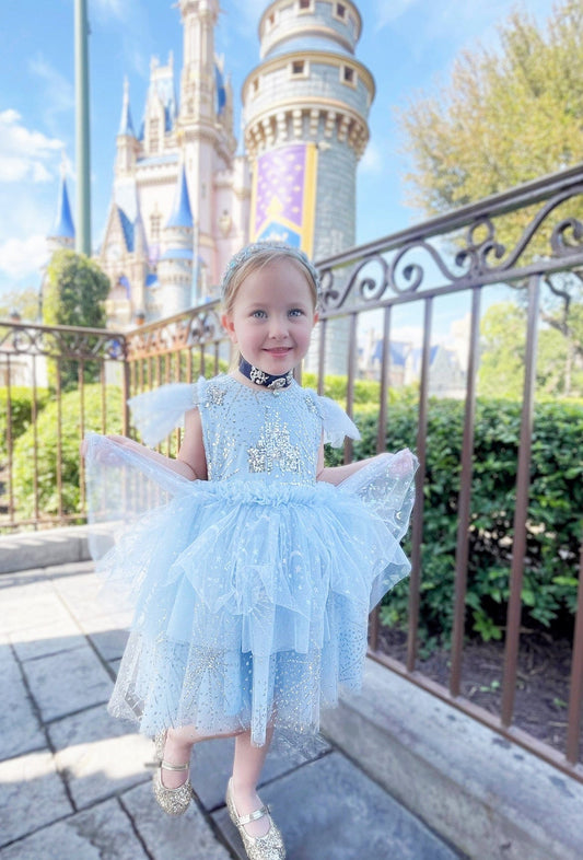 Little Princess Girls Tulle Dress