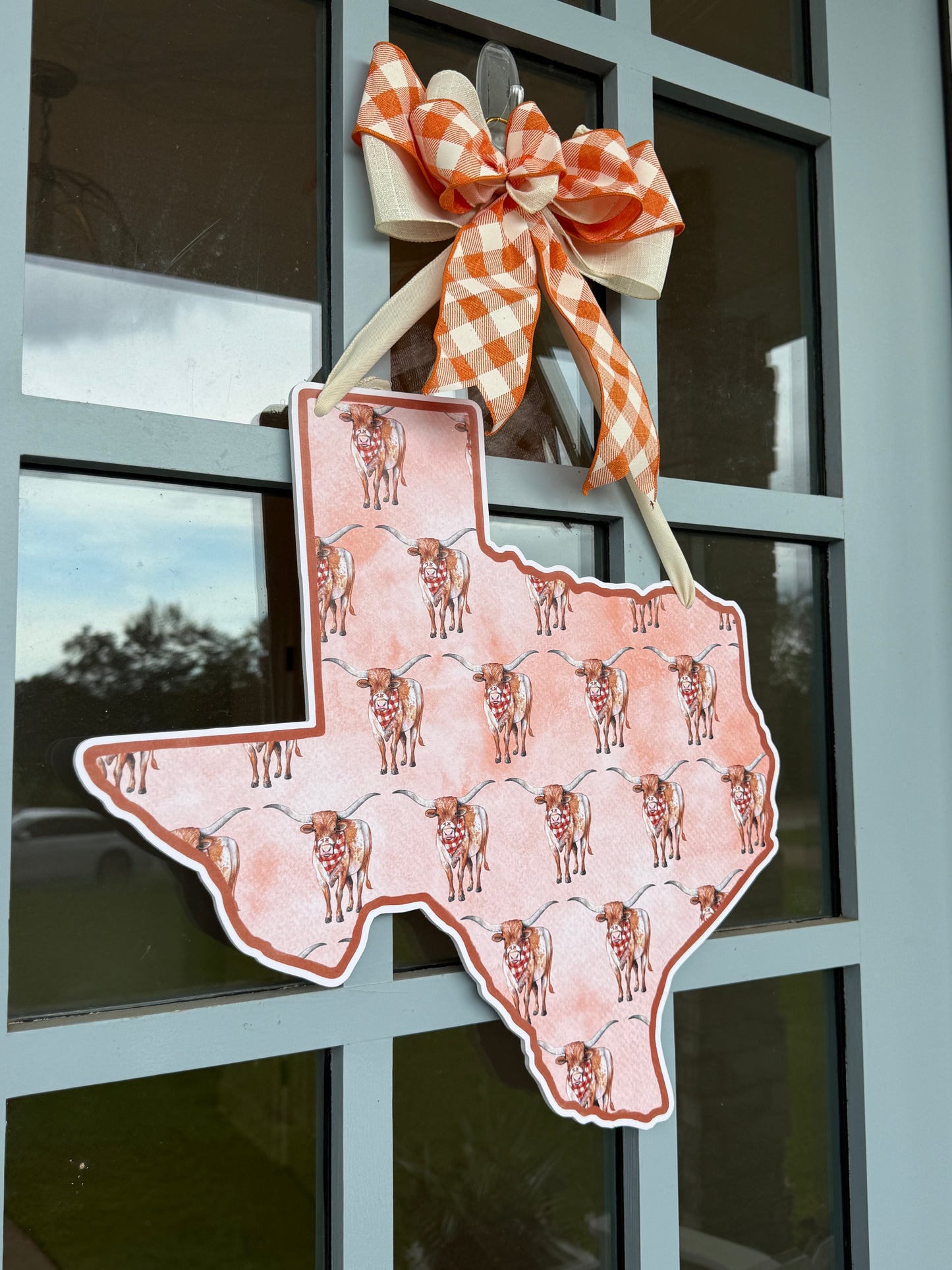 Lonestar Longhorn Printed Door Hanger