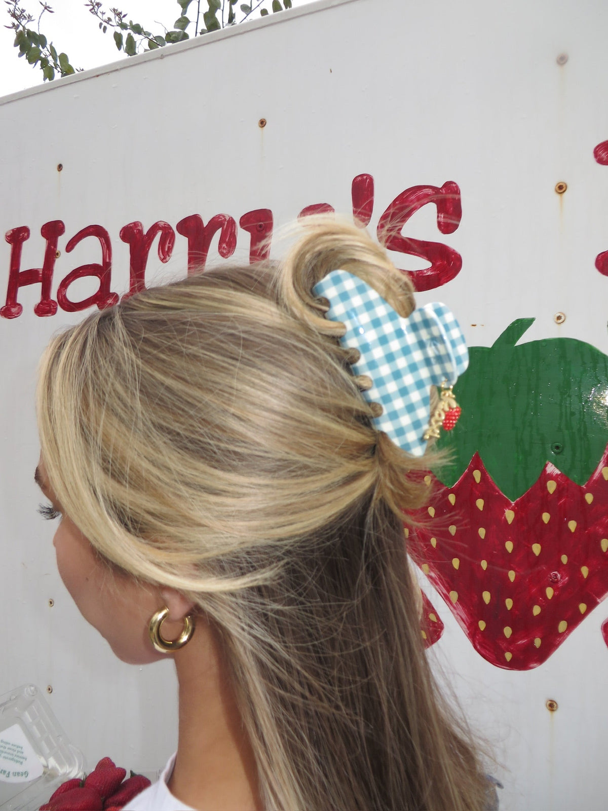 BLUE GINGHAM STRAWBERRY CHARM CLAW