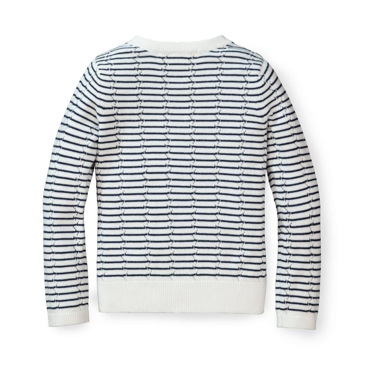 Pointelle Stripe Organic Cardigan - Navy Mini Stripe