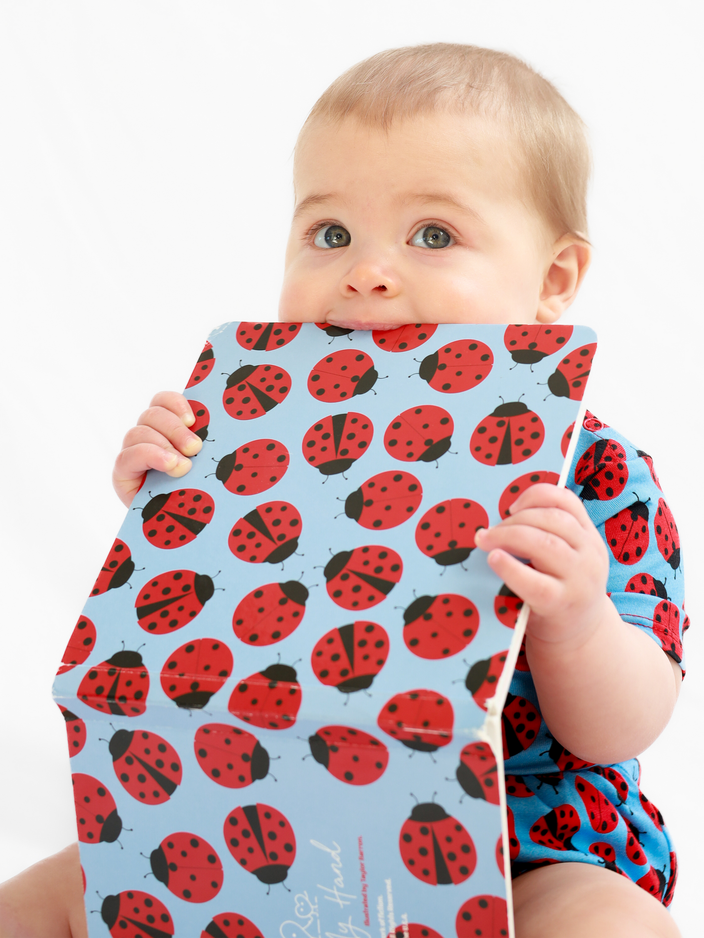 Why Do Ladybugs Have Spots?